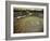 Fermenting vessels at Tetley's brewery, Leeds, West Yorkshire, 1968-Michael Walters-Framed Photographic Print