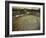 Fermenting vessels at Tetley's brewery, Leeds, West Yorkshire, 1968-Michael Walters-Framed Photographic Print