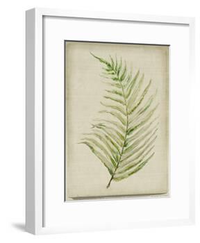 Fern 1-Symposium Design-Framed Giclee Print