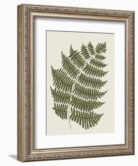 Fern 1-Sweet Melody Designs-Framed Art Print