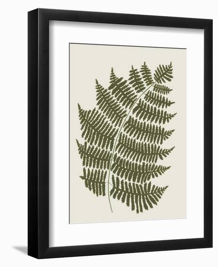 Fern 1-Sweet Melody Designs-Framed Art Print