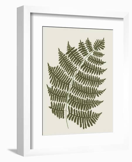 Fern 1-Sweet Melody Designs-Framed Art Print