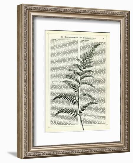 Fern 2-Marion Mcconaghie-Framed Art Print