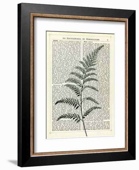 Fern 2-Marion Mcconaghie-Framed Art Print