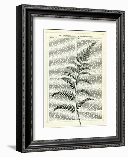 Fern 2-Marion Mcconaghie-Framed Art Print