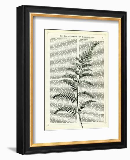 Fern 2-Marion Mcconaghie-Framed Art Print