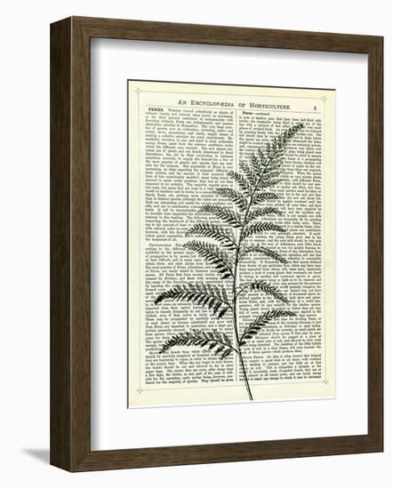 Fern 2-Marion Mcconaghie-Framed Art Print