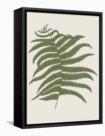 Fern 2-Sweet Melody Designs-Framed Stretched Canvas