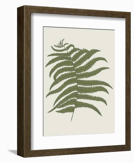 Fern 2-Sweet Melody Designs-Framed Art Print