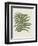 Fern 2-Sweet Melody Designs-Framed Art Print