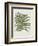 Fern 2-Sweet Melody Designs-Framed Art Print