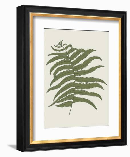 Fern 2-Sweet Melody Designs-Framed Art Print