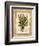 Fern 4-Robin Betterley-Framed Giclee Print