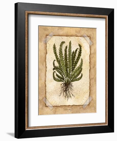 Fern 4-Robin Betterley-Framed Giclee Print