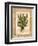 Fern 4-Robin Betterley-Framed Giclee Print