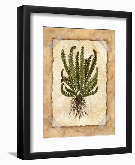 Fern 4-Robin Betterley-Framed Giclee Print