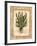 Fern 4-Robin Betterley-Framed Giclee Print