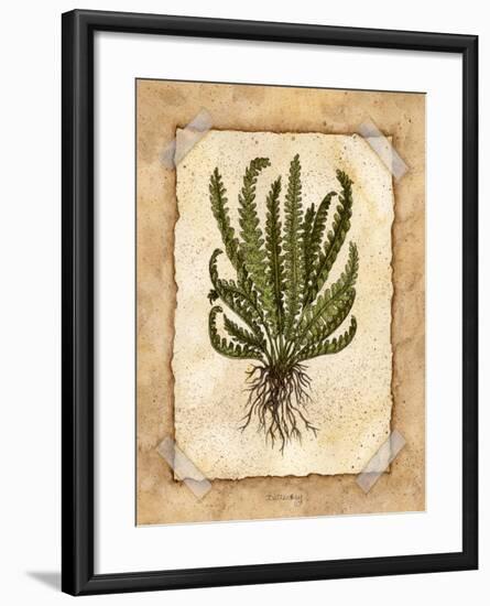 Fern 4-Robin Betterley-Framed Giclee Print