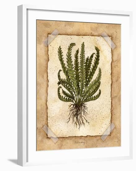 Fern 4-Robin Betterley-Framed Giclee Print