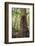 Fern and Kauri Tree, Waipoua Kauri Forest, Northland Region, North Island, New Zealand, Pacific-Matthew Williams-Ellis-Framed Photographic Print