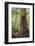 Fern and Kauri Tree, Waipoua Kauri Forest, Northland Region, North Island, New Zealand, Pacific-Matthew Williams-Ellis-Framed Photographic Print