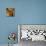 Fern Blocks II-Tandi Venter-Mounted Giclee Print displayed on a wall
