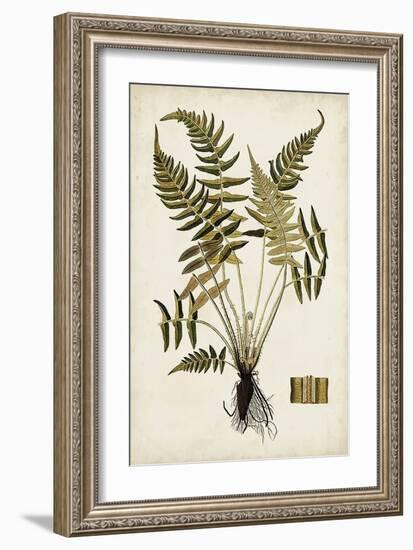 Fern Botanical IV-Vision Studio-Framed Art Print