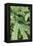 Fern, Bracken-Sweet Ink-Framed Premier Image Canvas