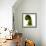 Fern Curve, 2009-Julia McLemore-Framed Photographic Print displayed on a wall