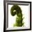 Fern Curve, 2009-Julia McLemore-Framed Photographic Print