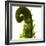 Fern Curve, 2009-Julia McLemore-Framed Photographic Print