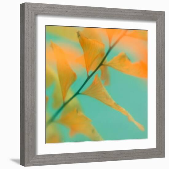 Fern Dance 2-Judy Stalus-Framed Photographic Print