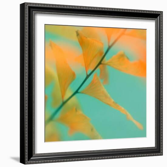 Fern Dance 2-Judy Stalus-Framed Photographic Print