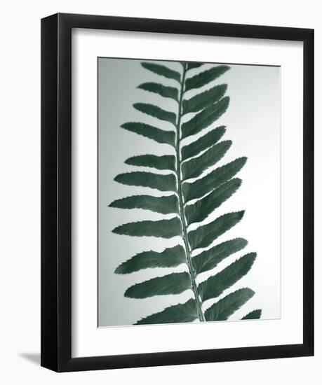 Fern Detail I-Boyce Watt-Framed Giclee Print