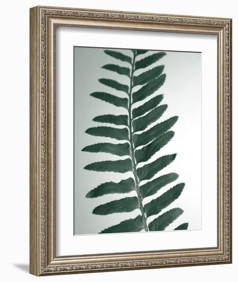 Fern Detail I-Boyce Watt-Framed Giclee Print