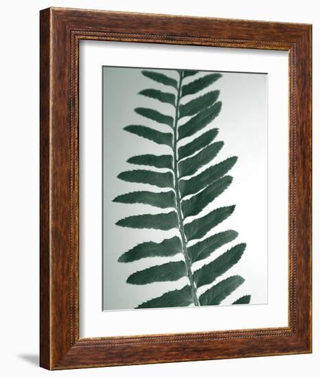 Fern Detail I-Boyce Watt-Framed Giclee Print