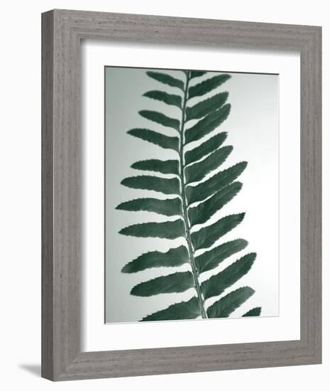 Fern Detail I-Boyce Watt-Framed Giclee Print