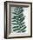 Fern Detail I-Boyce Watt-Framed Giclee Print