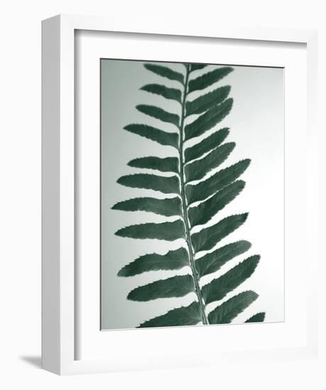 Fern Detail I-Boyce Watt-Framed Giclee Print