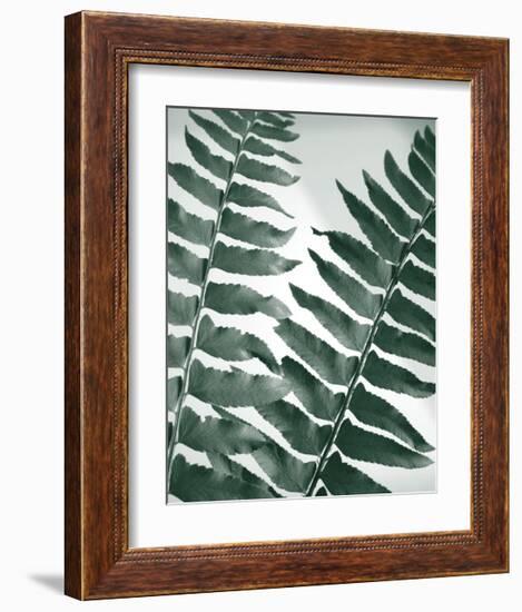 Fern Detail II-Boyce Watt-Framed Giclee Print