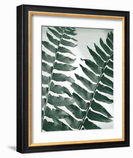 Fern Detail II-Boyce Watt-Framed Giclee Print