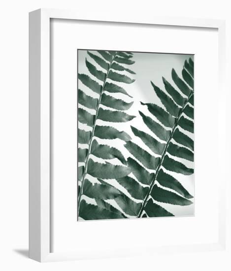 Fern Detail II-Boyce Watt-Framed Giclee Print