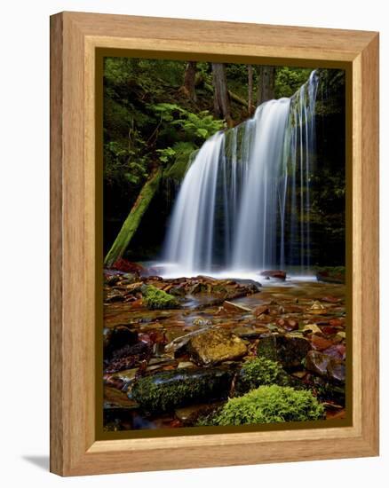 Fern Falls, Coeur D'Alene National Forest, Idaho Panhandle National Forests, Idaho, United States o-James Hager-Framed Premier Image Canvas