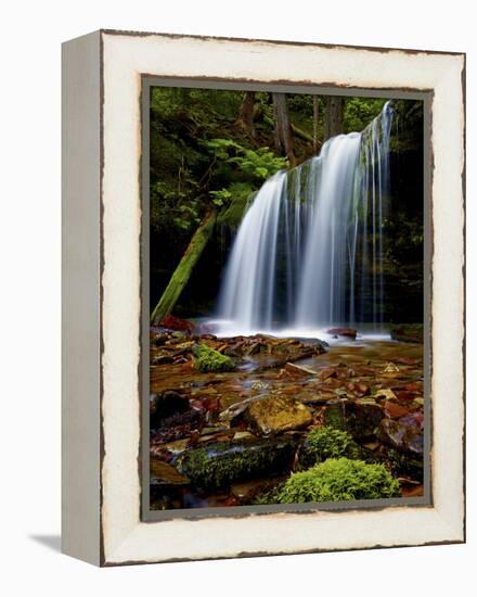 Fern Falls, Coeur D'Alene National Forest, Idaho Panhandle National Forests, Idaho, United States o-James Hager-Framed Premier Image Canvas