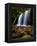 Fern Falls, Coeur D'Alene National Forest, Idaho Panhandle National Forests, Idaho, United States o-James Hager-Framed Premier Image Canvas