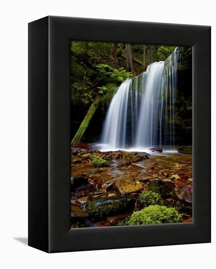 Fern Falls, Coeur D'Alene National Forest, Idaho Panhandle National Forests, Idaho, United States o-James Hager-Framed Premier Image Canvas