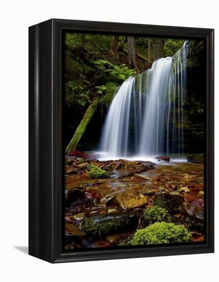 Fern Falls, Coeur D'Alene National Forest, Idaho Panhandle National Forests, Idaho, United States o-James Hager-Framed Premier Image Canvas