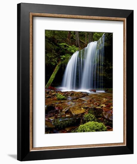 Fern Falls, Coeur D'Alene National Forest, Idaho Panhandle National Forests, Idaho, United States o-James Hager-Framed Photographic Print