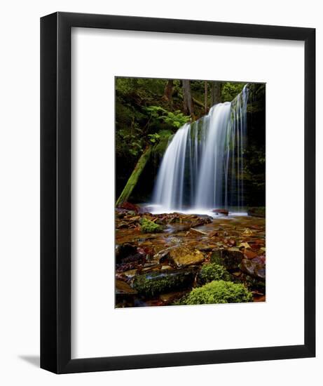 Fern Falls, Coeur D'Alene National Forest, Idaho Panhandle National Forests, Idaho, United States o-James Hager-Framed Photographic Print