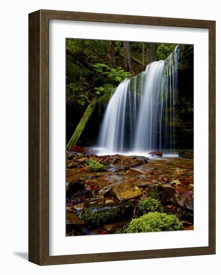 Fern Falls, Coeur D'Alene National Forest, Idaho Panhandle National Forests, Idaho, United States o-James Hager-Framed Photographic Print